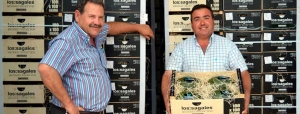 Reducing production cost thanks to Novedades Agricolas technology